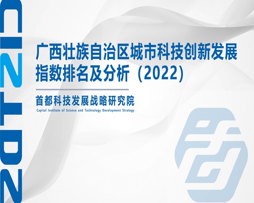 啊用力cao我cao烂我视频【成果发布】广西壮族自治区城市科技创新发展指数排名及分析（2022）